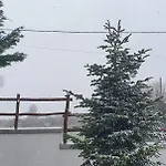 شقة Petrichor بورتاريا