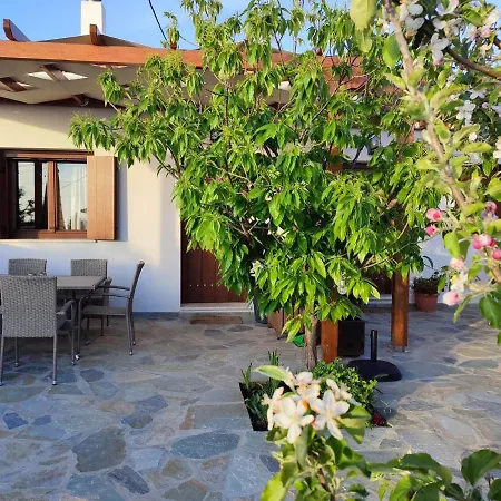 شقة Petrichor بورتاريا