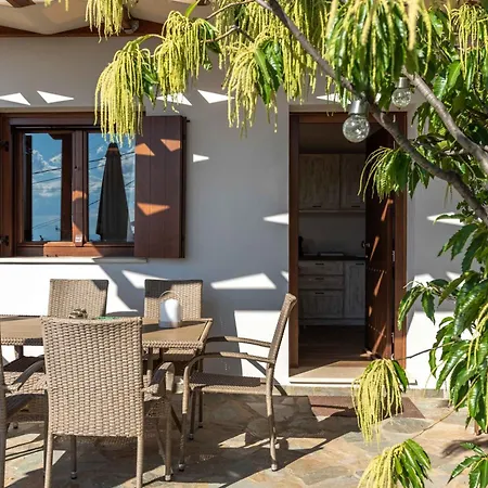 Petrichor بورتاريا